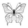 butteryfly-1