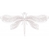 dragonfly-4
