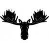 moose-3