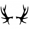preview_-_antlers2