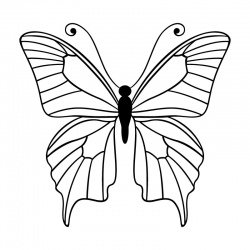 butteryfly-1