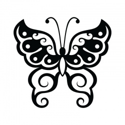butteryfly-2