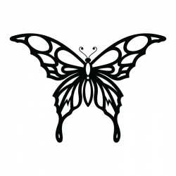butteryfly-4