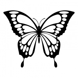 butteryfly-7_1826438162