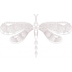 dragonfly-2