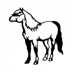 horse-5