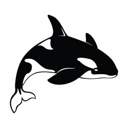 orca-1