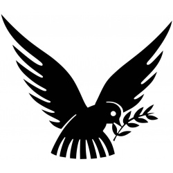 peace_dove_olive_branch_1