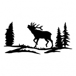 preview_-_ukwildlife4