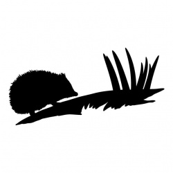 preview_-_ukwildlife6