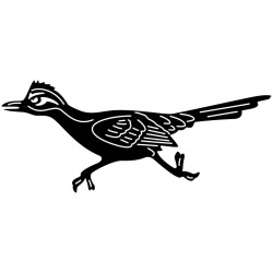 roadrunners