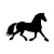 horse-2