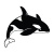 orca-1