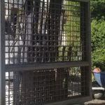 fancy modern steel gates