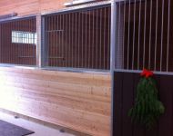 Steel Horse Barn Doors