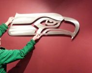 seahawks plasma art