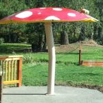 duncan's most well known mushroom